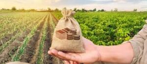 Leia mais sobre o artigo Seguro rural: proposta para garantir mais estabilidade da renda no campo avança