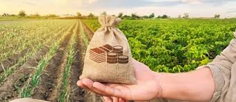 Leia mais sobre o artigo Seguro rural: proposta para garantir mais estabilidade da renda no campo avança