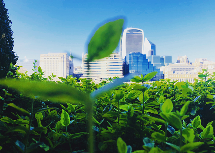No momento, você está visualizando Estudo registra queda drástica em resiliência social do Brasil e acende alerta para investidores