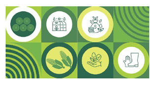 Leia mais sobre o artigo Seguro rural recua em 2025 e acende alerta no setor