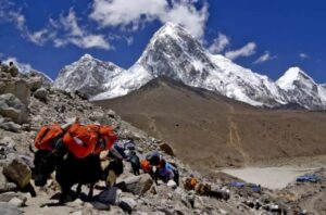 Leia mais sobre o artigo Como guias do Everest envenenavam alpinistas para aplicar fraude milionária de seguros