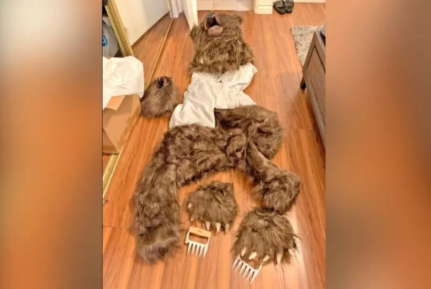 No momento, você está visualizando Homens são presos após encenar ataques de urso para fraudar seguro de veículos de luxo