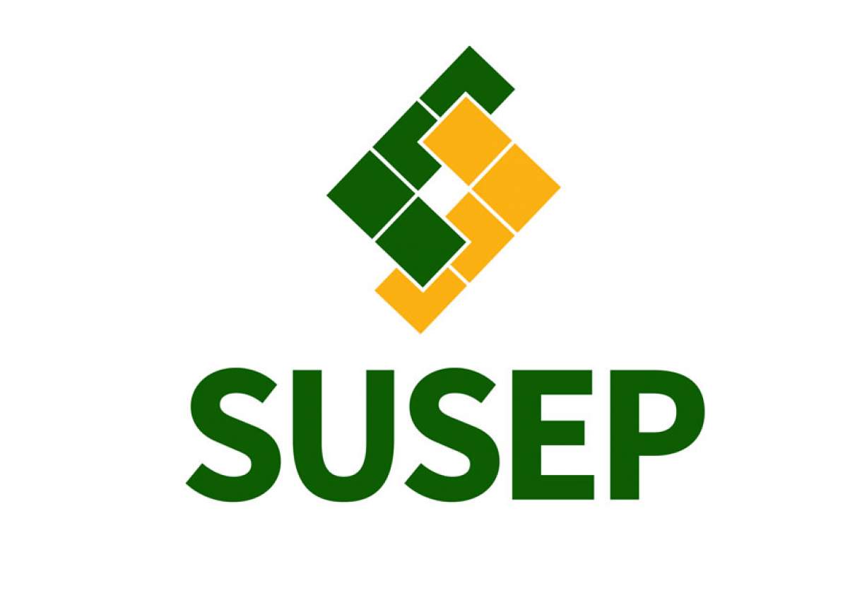 No momento, você está visualizando Susep destaca papel do setor diante de riscos climáticos e econômicos