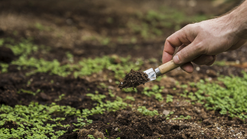 No momento, você está visualizando Guerra no Oriente Médio pressiona custos e pode impactar a precificação do seguro rural no Brasil