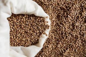 Leia mais sobre o artigo Estudo aponta que El Niño pode elevar produção de grãos, mas pressionar rentabilidade na América Latina