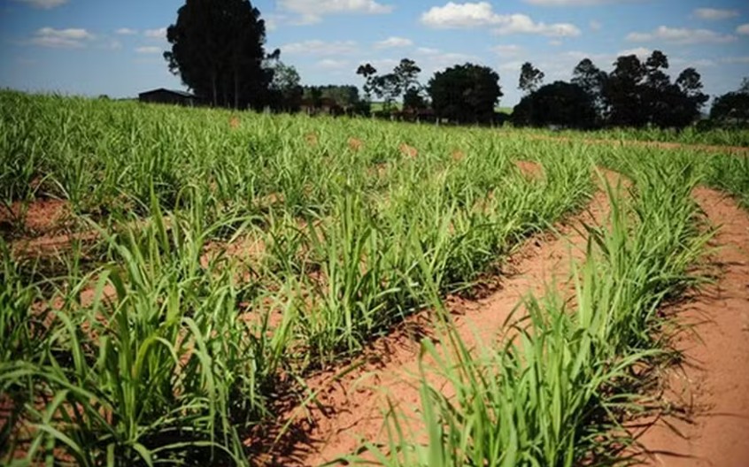 No momento, você está visualizando Seguro rural fica de fora de debate sobre El Niño