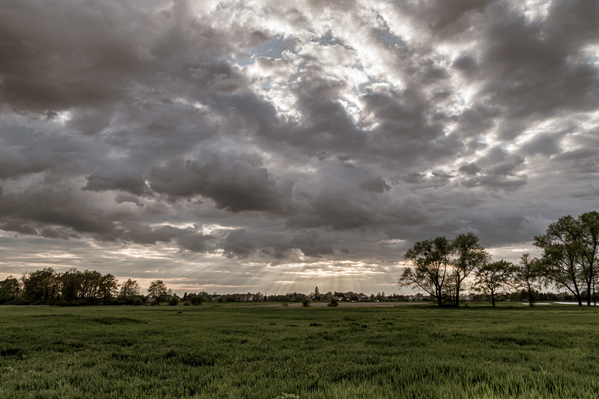 No momento, você está visualizando Super El Niño aumenta alerta para o agro brasileiro e reforça importância do Seguro Rural