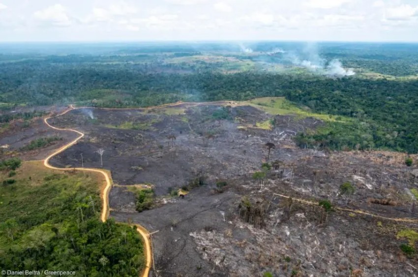 No momento, você está visualizando Seguros e mecanismos de risco ganham espaço no financiamento da transição climática